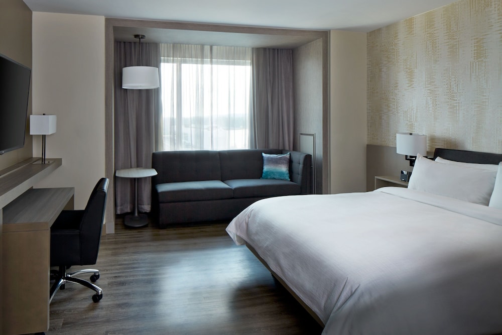 Room, 1 King Bed with Sofa bed