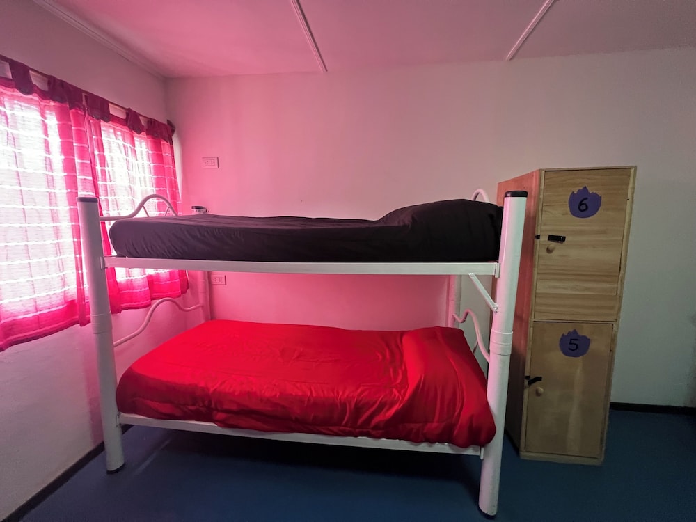 Basic Shared Dormitory photo 3
