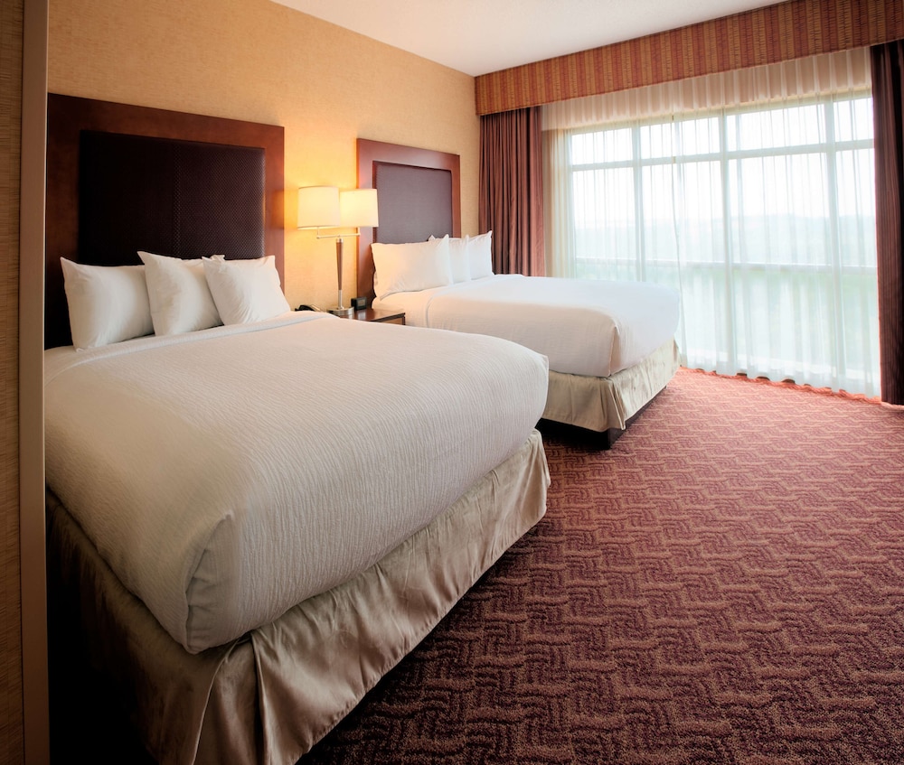 Suite, 1 Bedroom photo 1
