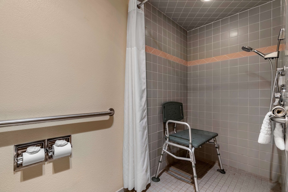 Standard Room, 1 King Bed, Accessible, Non Smoking - Photo 5