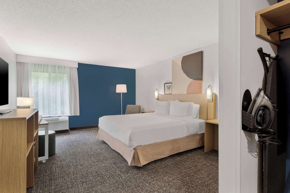 Room, 1 King Bed, Accessible (Mobility & Hearing, Roll-in Shower)