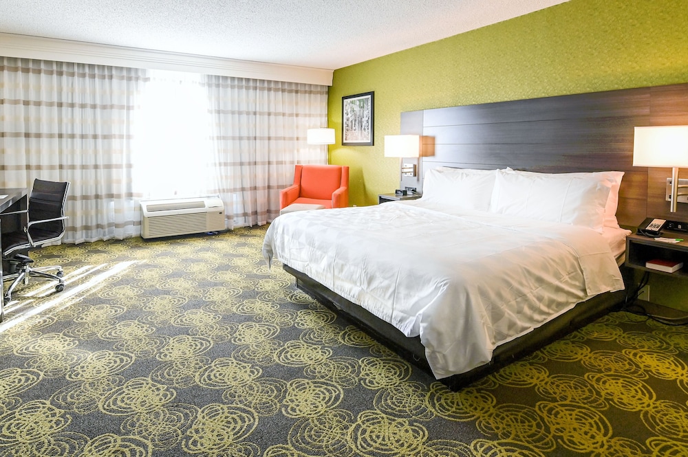 Suite, 1 King Bed (Walk-In Shower) photo 3