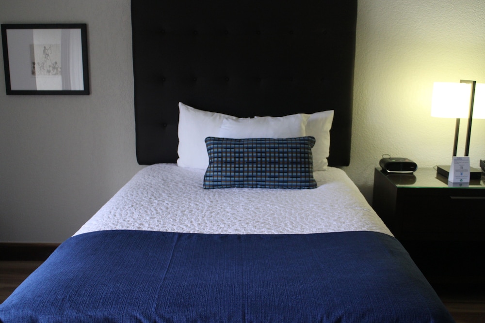 Deluxe Two Double Beds - Photo 3