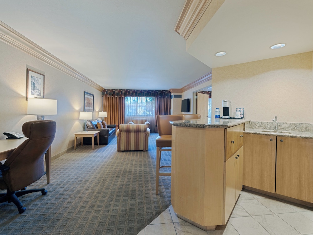 Suite, 1 Bedroom - Photo 2
