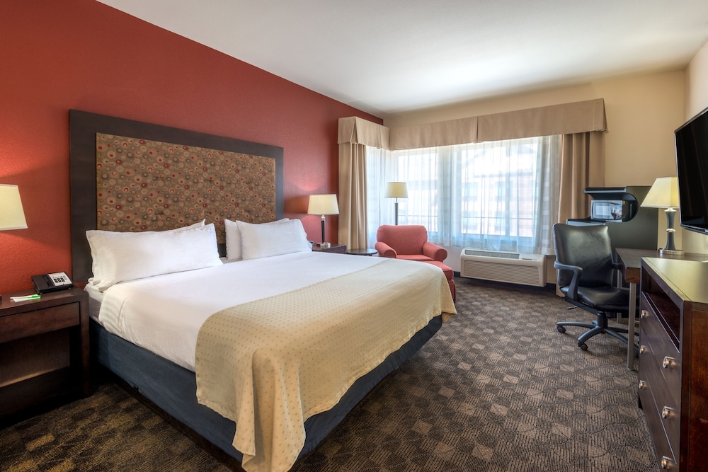 Standard Room, 1 King Bed, Accessible (Hearing, Mobility Tub) - Photo 3