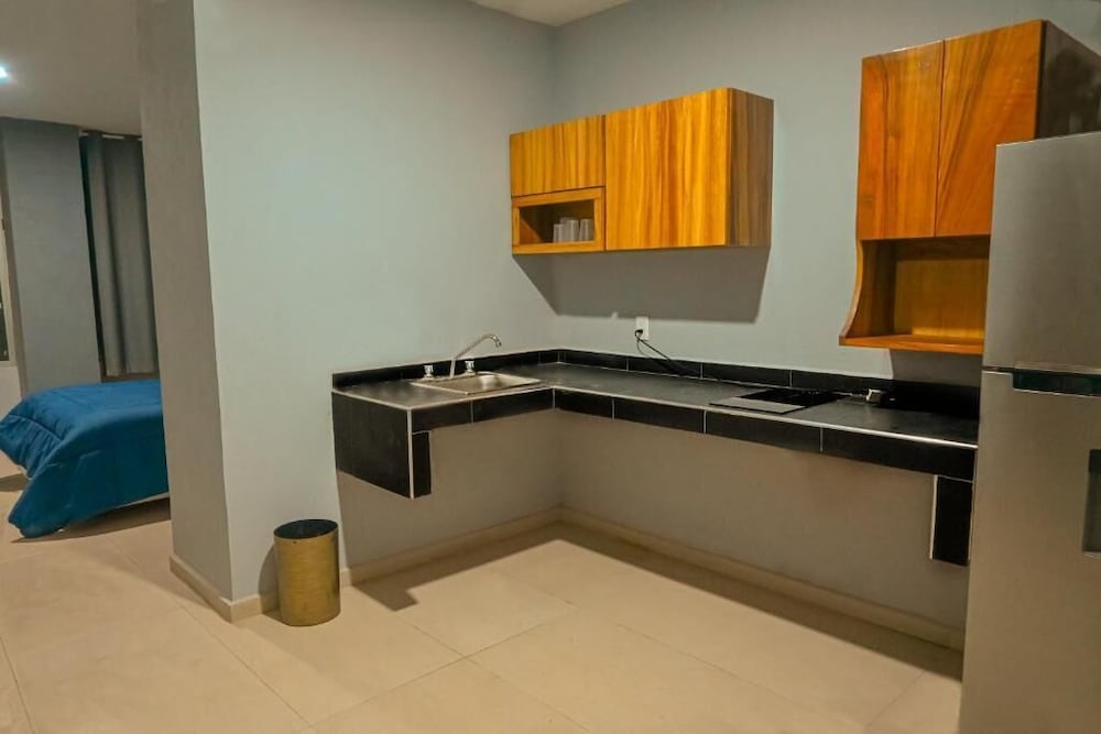 Superior Double Room, 1 Bedroom, Kitchen, Beach View photo 3