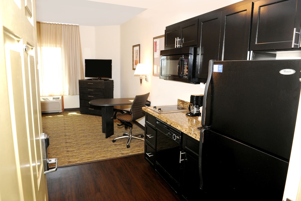 Studio Suite, 1 Queen Bed - Photo 3