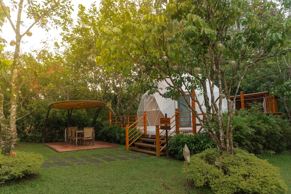 Luxury Tent photo 2
