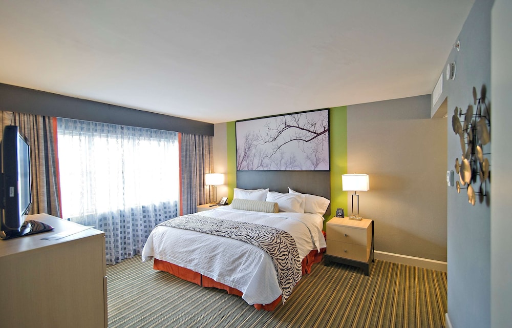 Suite, One King Bed, Non-Smoking - Photo 1
