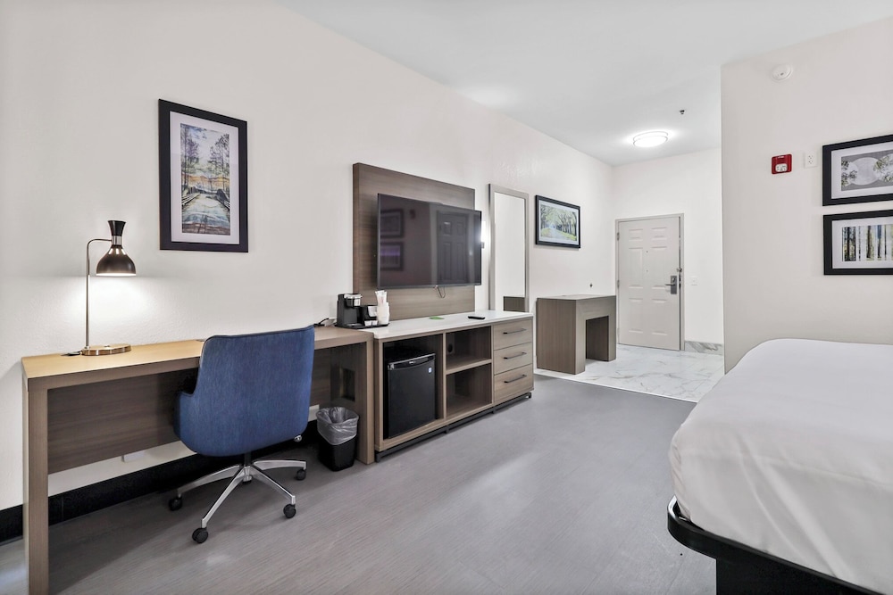 Room, 1 King Bed, Accessible, Non Smoking (Tub with Grab Bars) - Photo 2