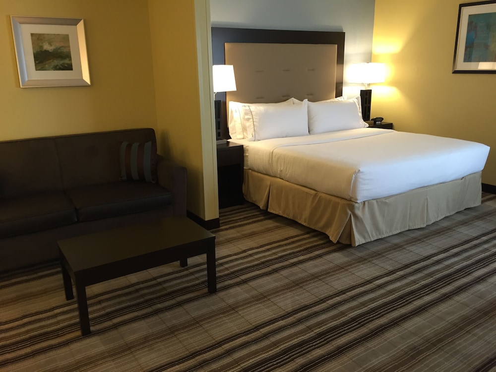 Holiday Inn Express Chicago NW - Arlington Heights by IHG, Zdjęcie 3