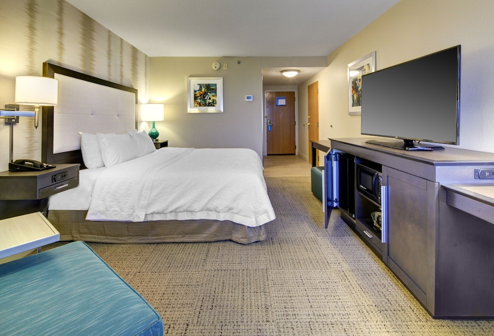 Room, 1 King Bed, Accessible (Hearing Acc) photo 2