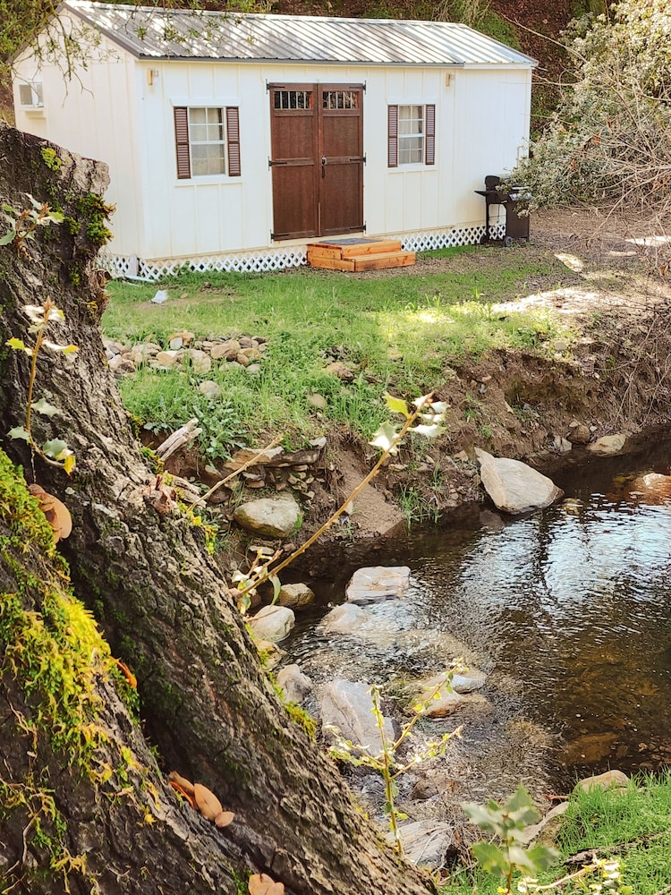 Panoramic Cabin photo 3