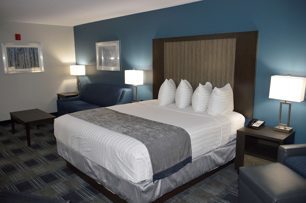 Standard Room, 1 King Bed, Non Smoking, Microwave (with Sofabed) - Photo 4