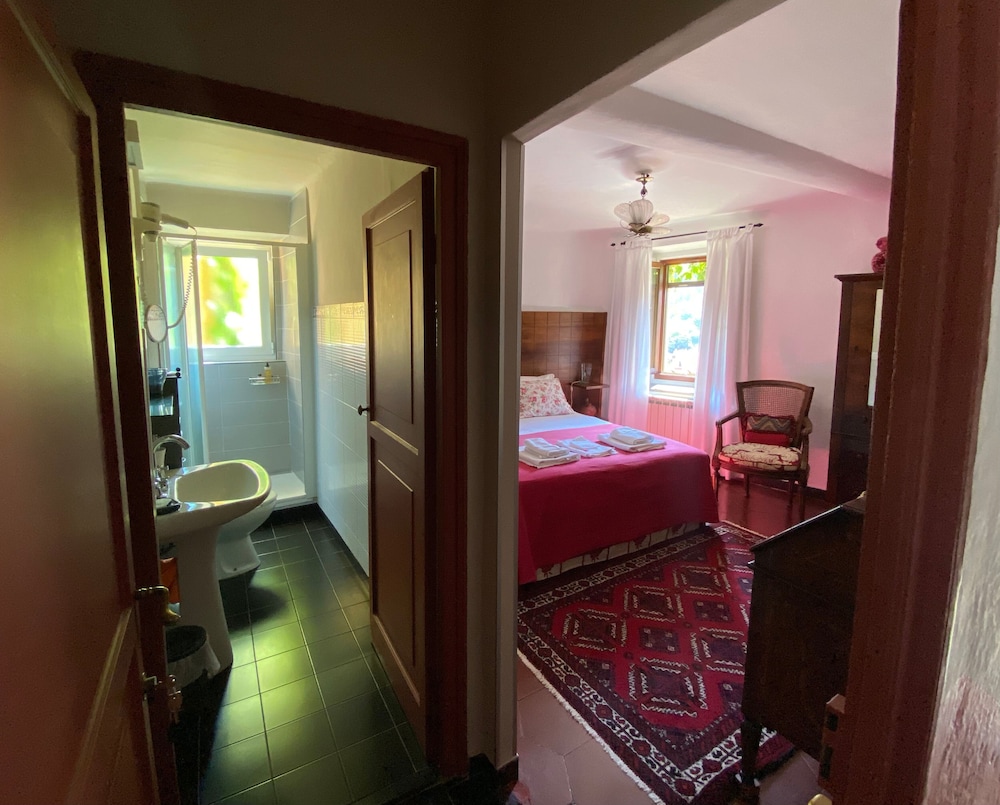 Basic Double Room photo 1