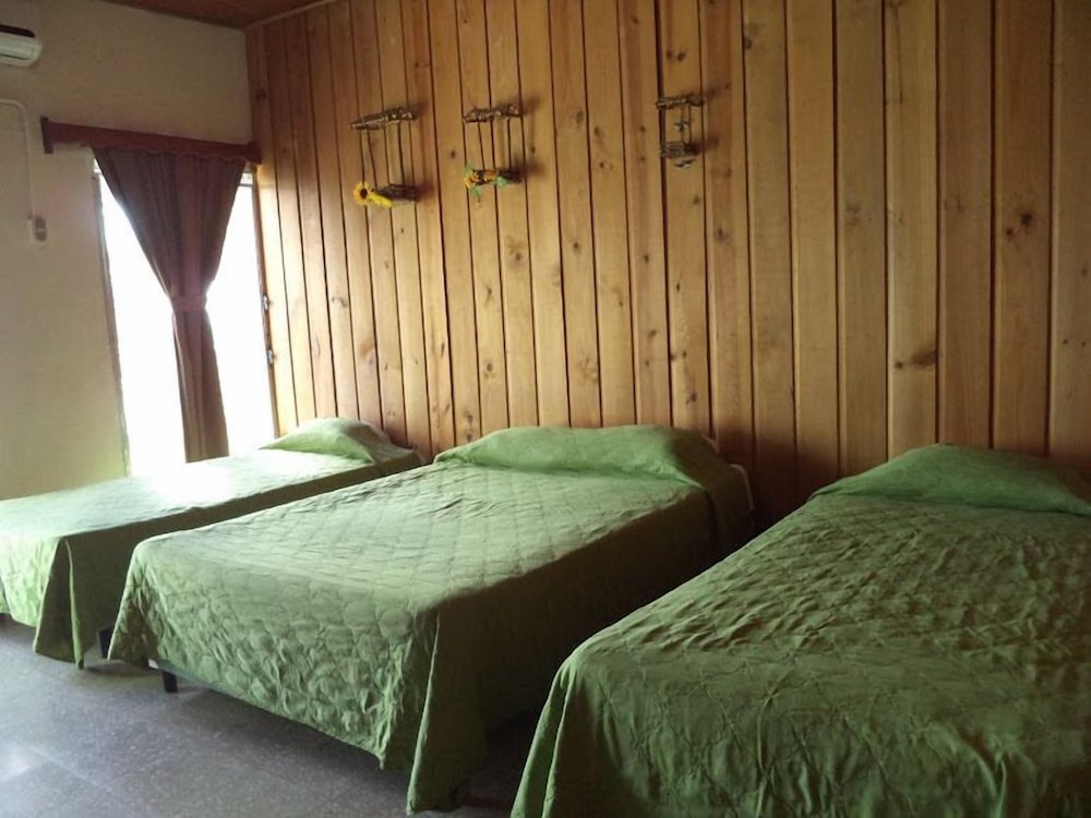 Quadruple Room, Multiple Beds photo 2