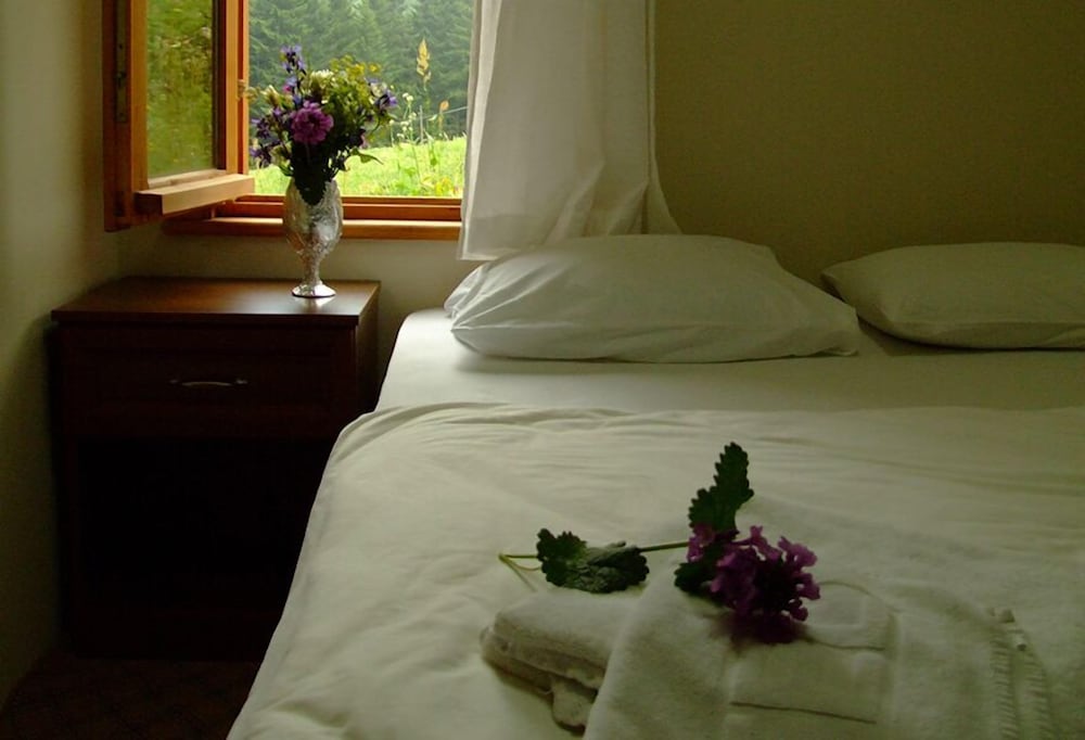 Standard Room photo 1