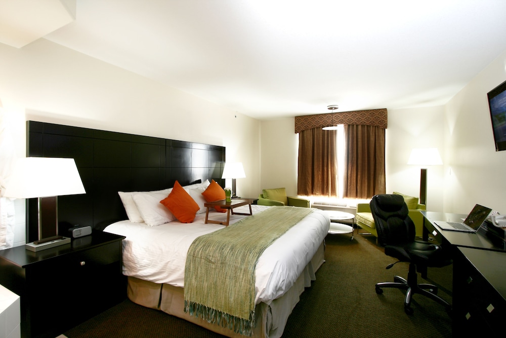 Jacuzzi King Suite photo 2