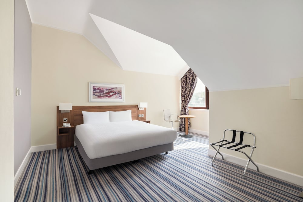Suite, 1 King Bed with Sofa bed photo 3