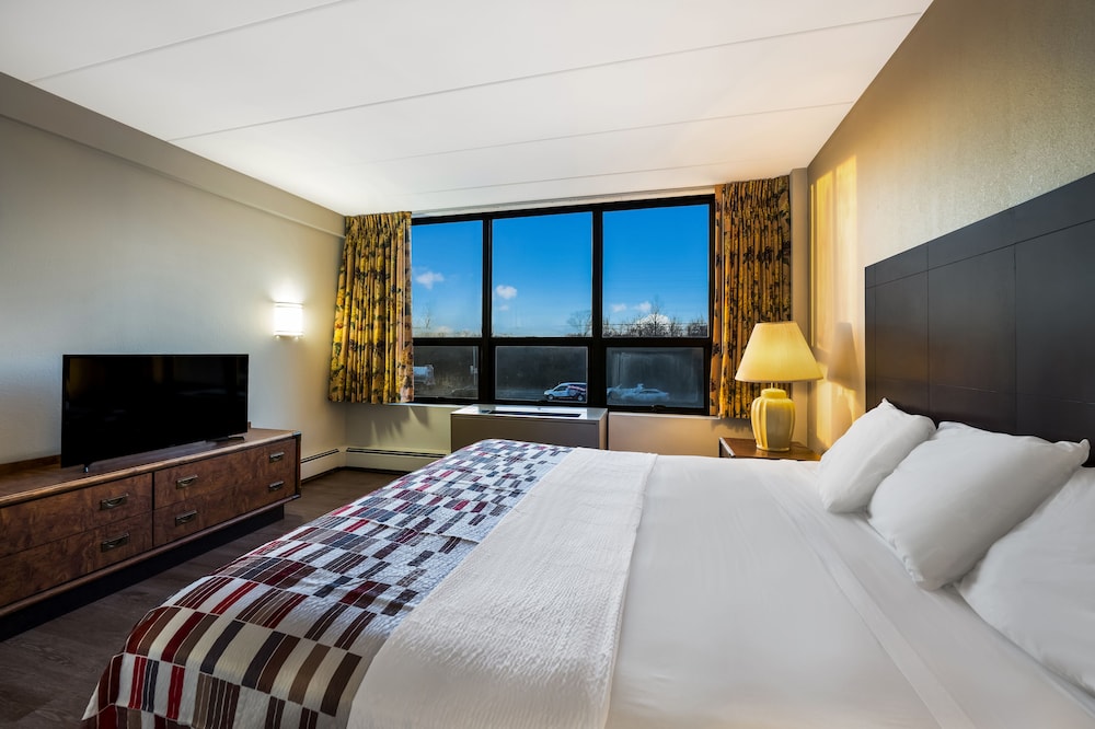 Suite, 1 King Bed photo 3