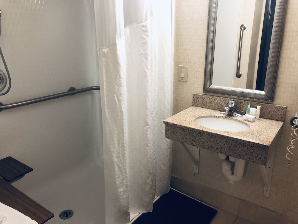 Room, 1 King Bed, Accessible, Non Smoking (Mobility, Bathtub w/Grab Bars) - Photo 3