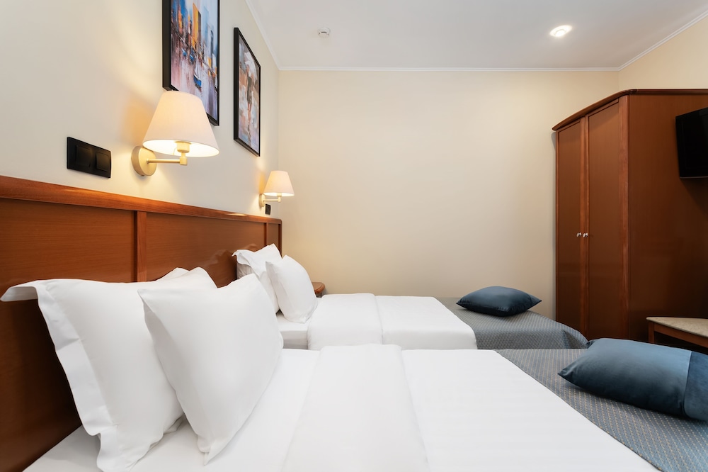 Deluxe Double or Twin Room photo 1