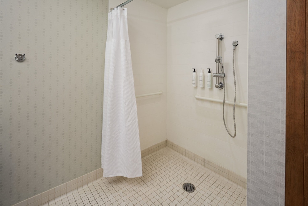 Suite, 1 King Bed (Mobility Accessible, Roll-In Shower) - Photo 1