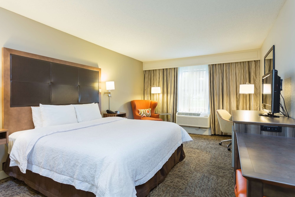 Room, 1 King Bed, Accessible - Photo 1