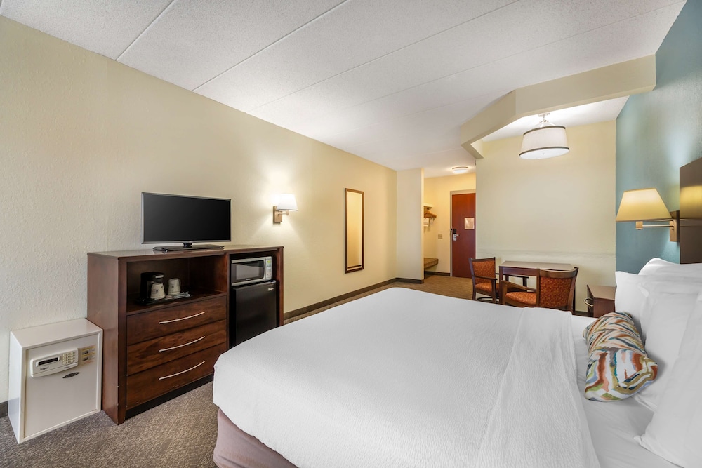 Standard Room, 1 King Bed, Non Smoking, Refrigerator & Microwave - Photo 3