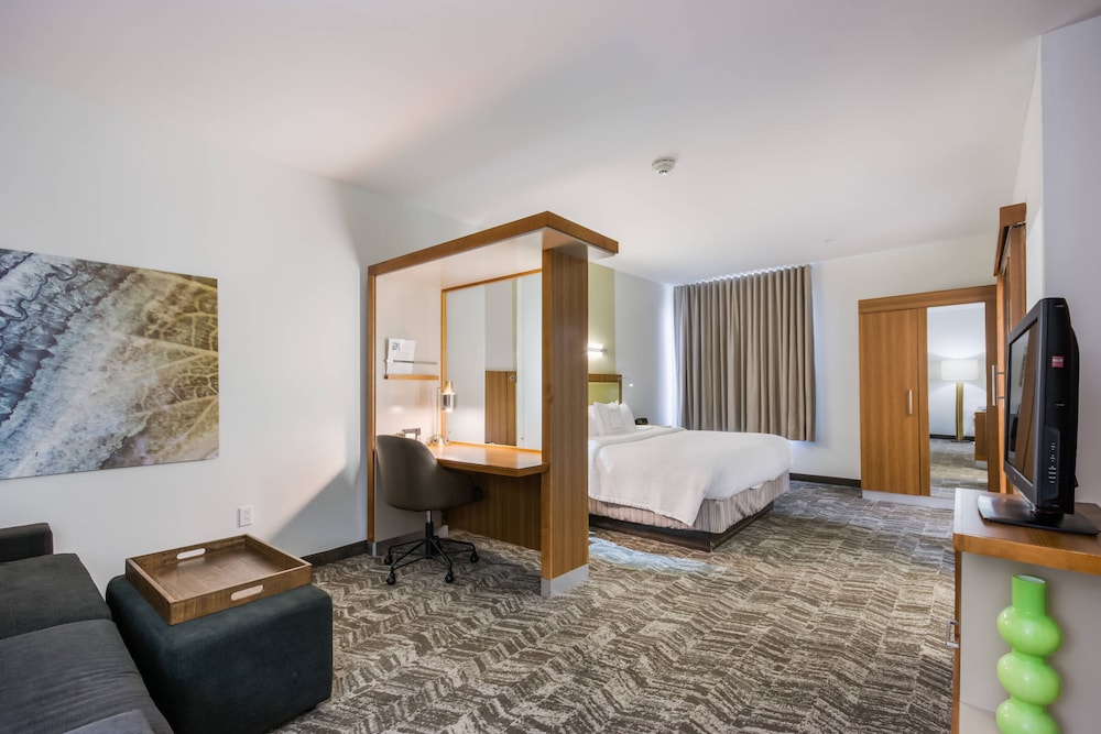 Suite, 1 King Bed with Sofa bed photo 1
