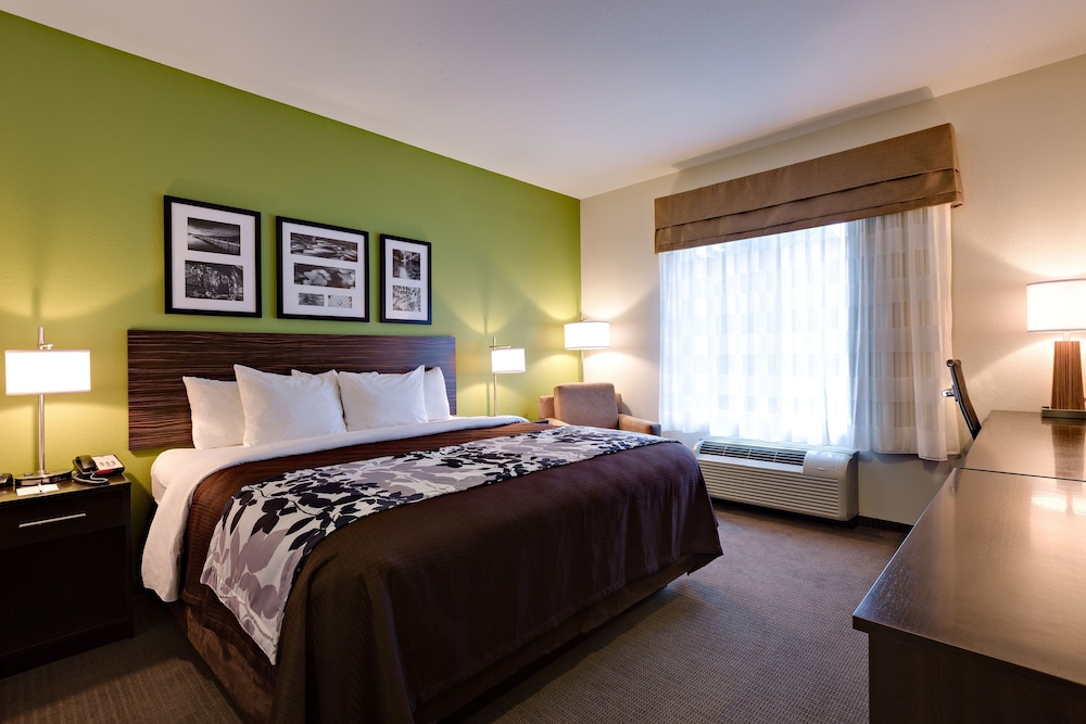 Standard Room, 1 King Bed, Non Smoking photo 1