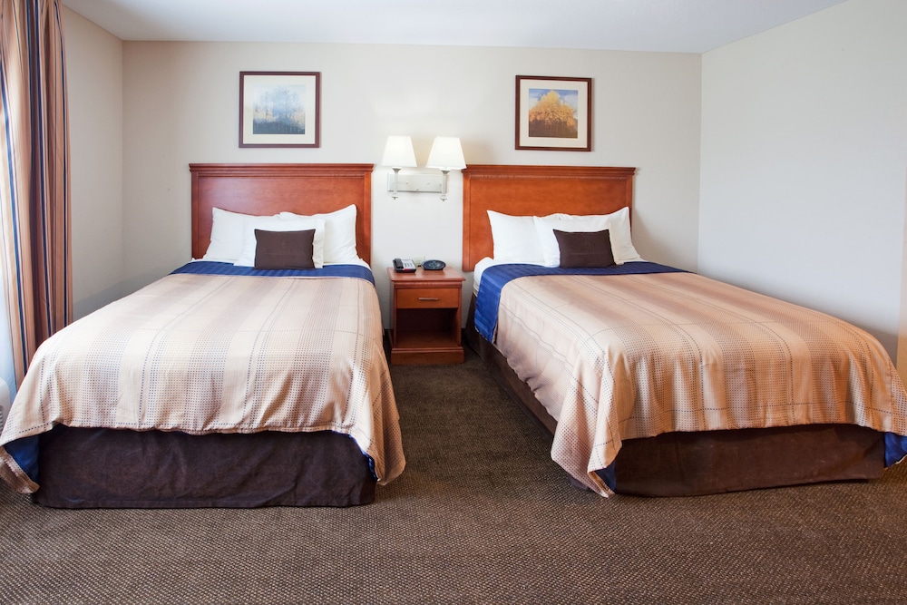 Studio Suite, 2 Double Beds - Photo 3