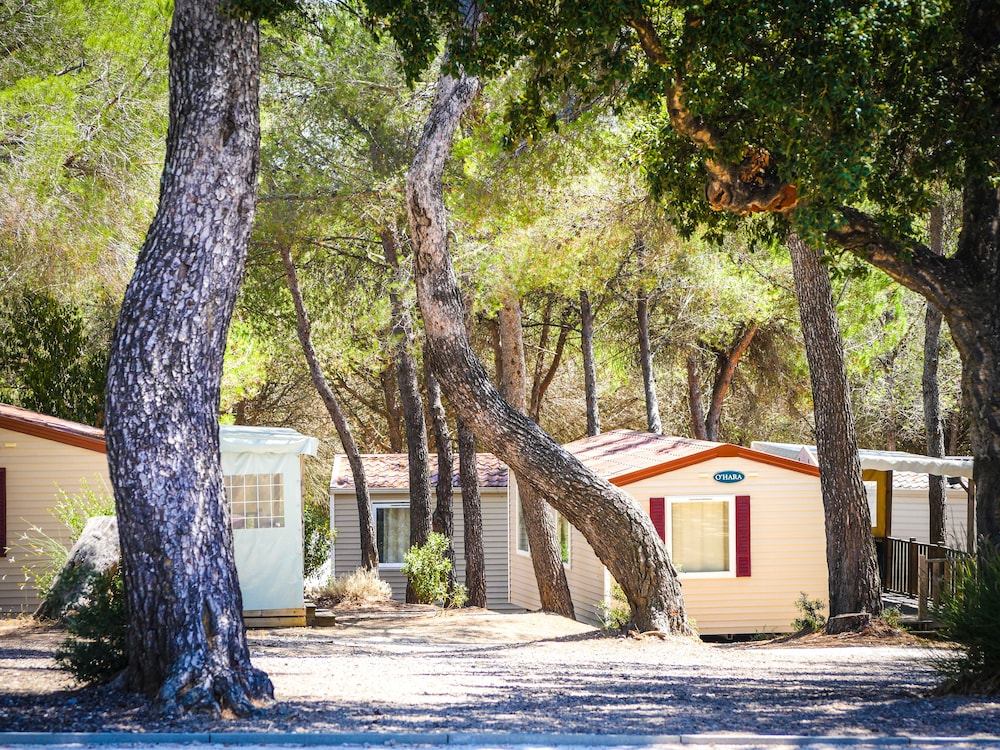 Mobile Home (6/8 Pers) photo 3