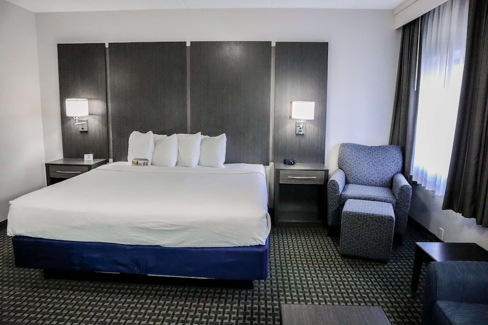 Standard Room, 1 King Bed, Non Smoking, Refrigerator & Microwave (Larger Room;with Sofabed) - Photo 3