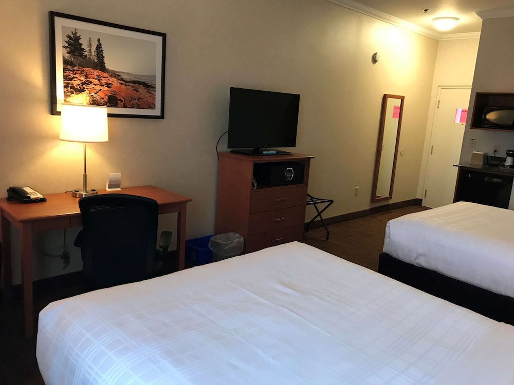 Business Room, 2 Queen Beds, Non Smoking, Refrigerator & Microwave