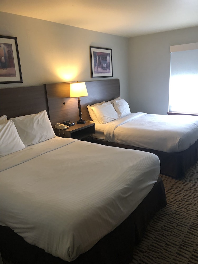 Suite, Multiple Beds, Non Smoking - Photo 4