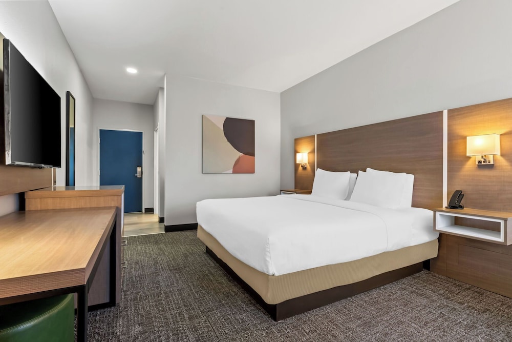 Room, 1 King Bed, Accessible (Mobility & Hearing, Roll-in Shower) - Photo 1