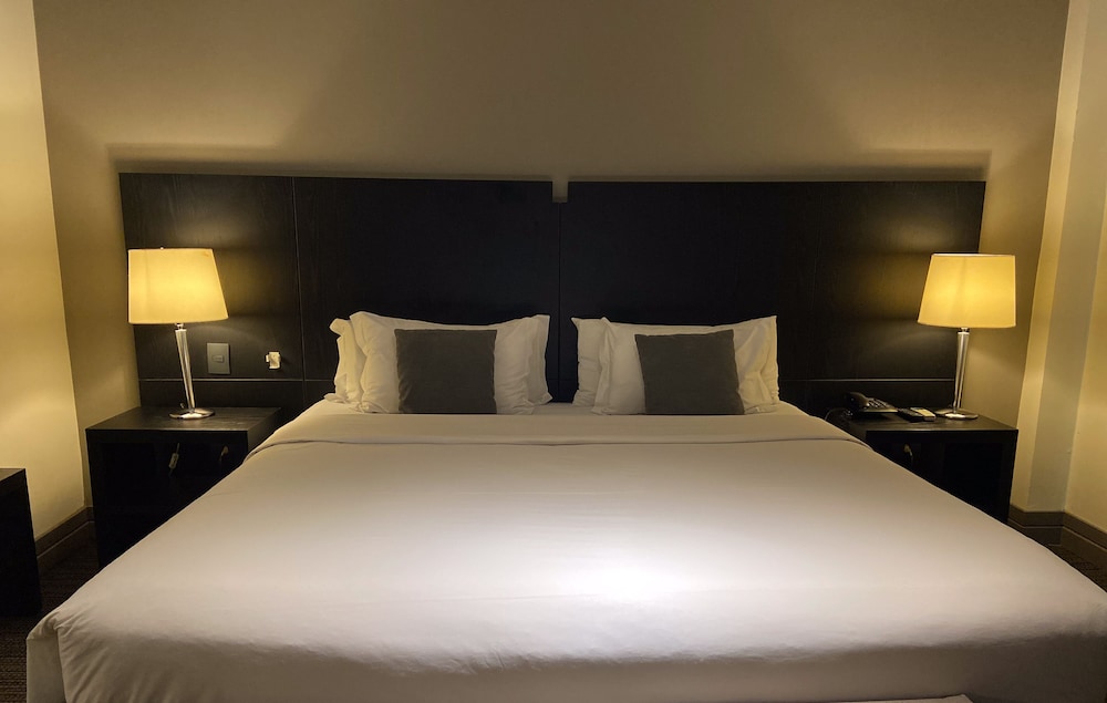 Basic Suite - Photo 4