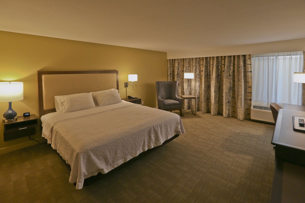 Room, 1 King Bed, Accessible, Non Smoking (Mobility & Hearing, Roll-In Shower) photo 1