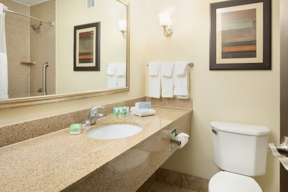 Holiday Inn and Suites Charleston West by IHG, Bilde 4