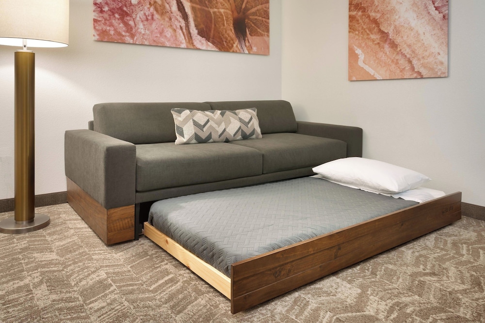 Studio, 1 King Bed with Sofa bed photo 3