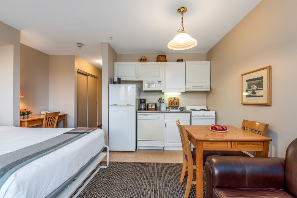 Superior Room photo 3