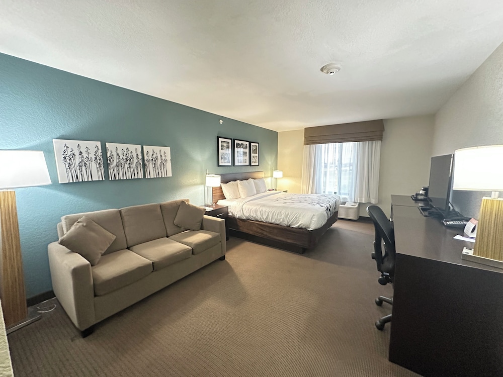 Suite, 1 King Bed with Sofa bed, Non Smoking photo 1