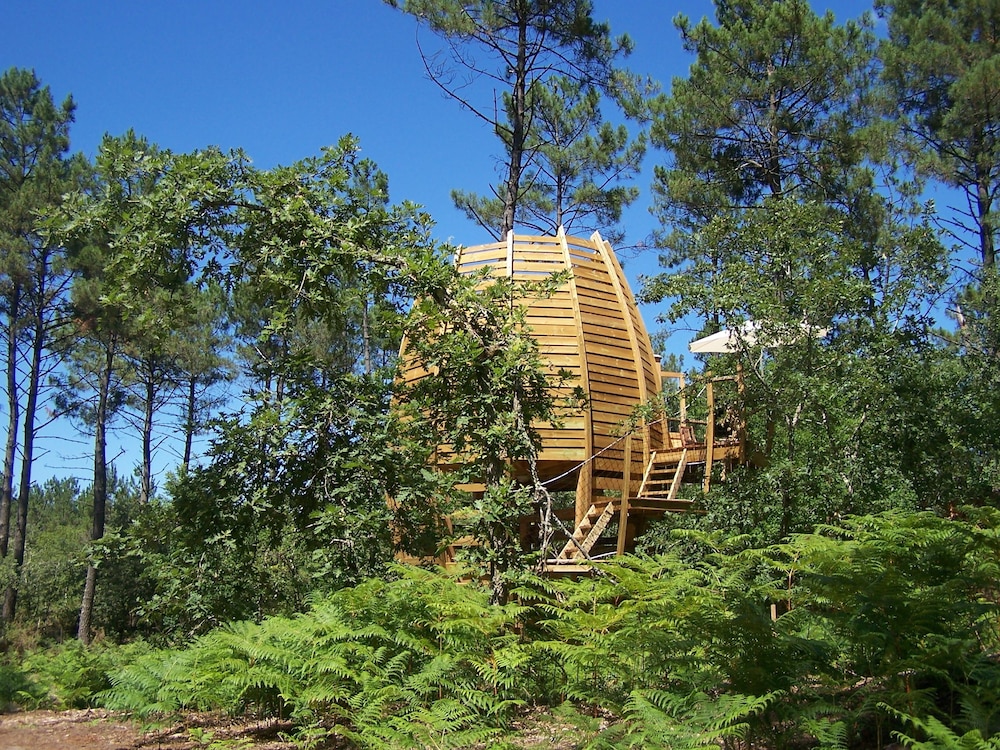 Family Tree House photo 2