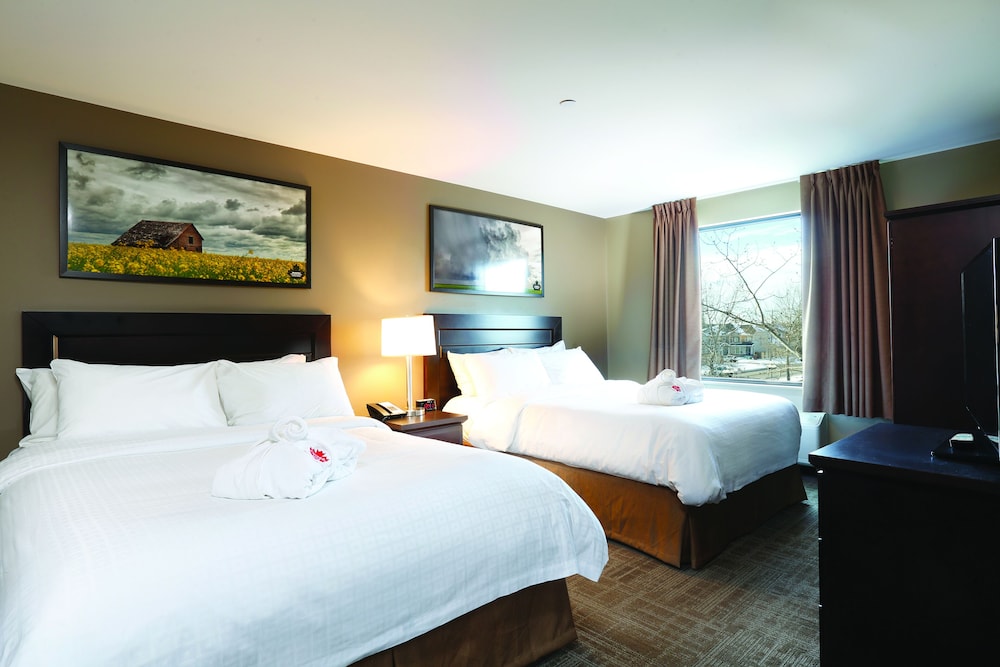 Business Suite