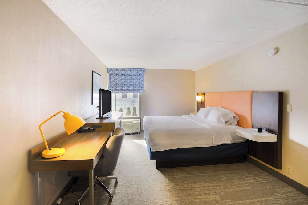 Suite, 1 King Bed photo 3