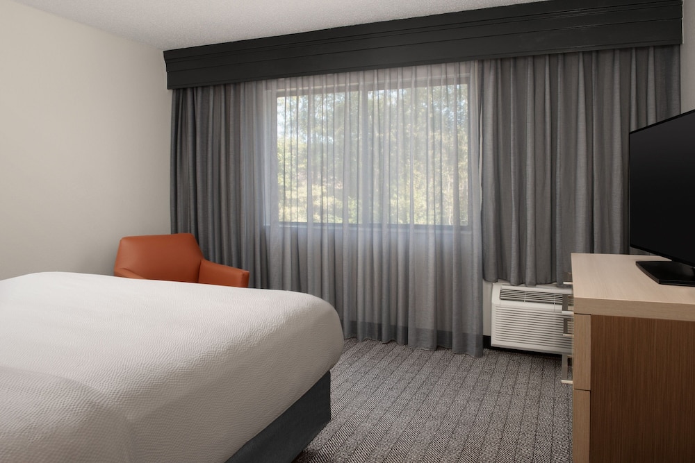 Suite, 1 King Bed with Sofa bed photo 3