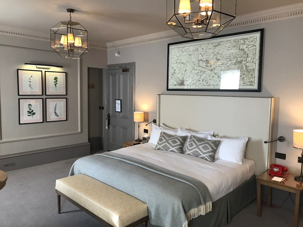 Junior Studio Suite - Photo 1