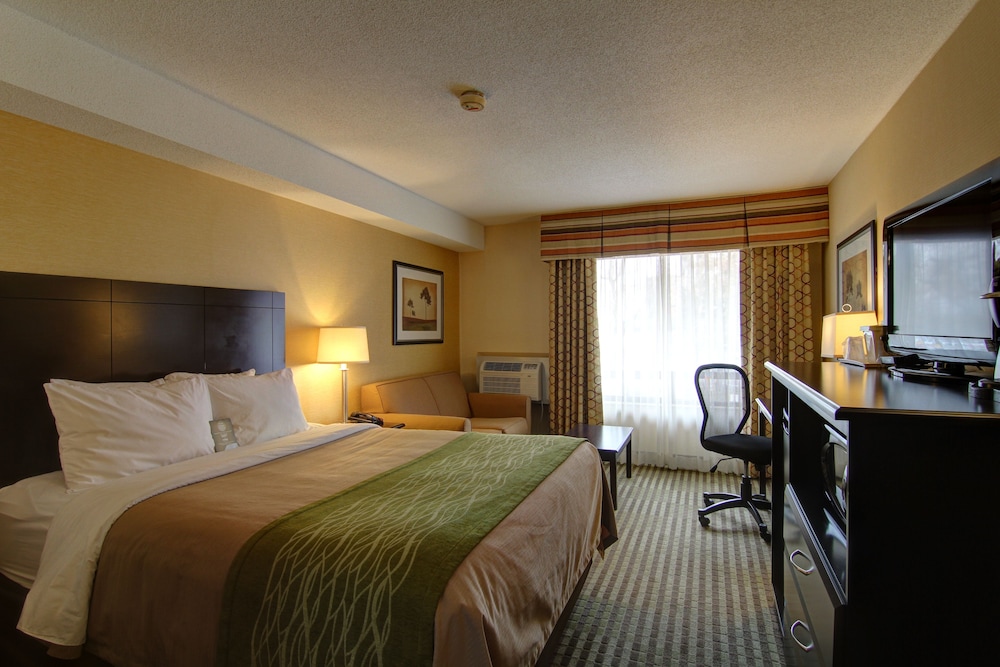 Standard Room, 1 King Bed, Ground Floor - Photo 2