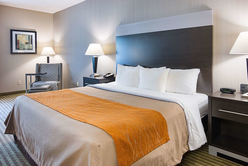 Suite, 1 King Bed, Non Smoking photo 3